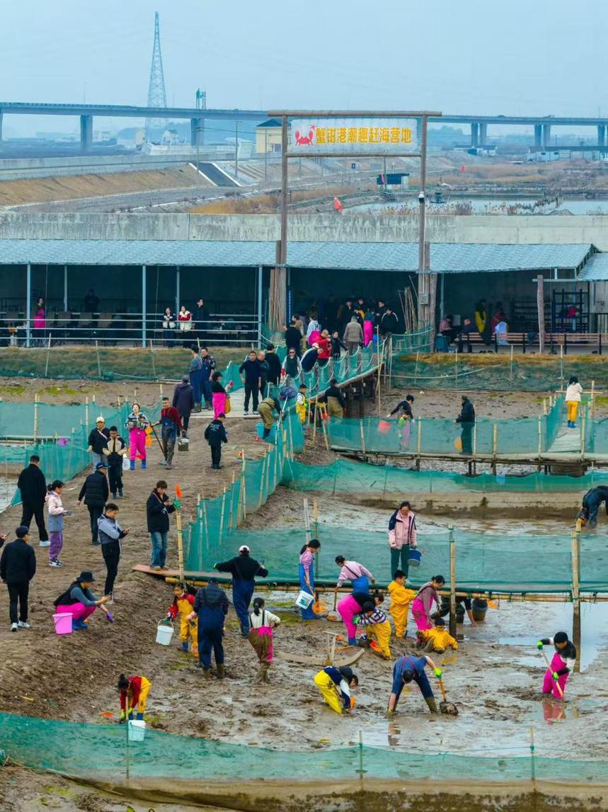 泗洲头有点“上头”，一个山海小镇的“向上突围”