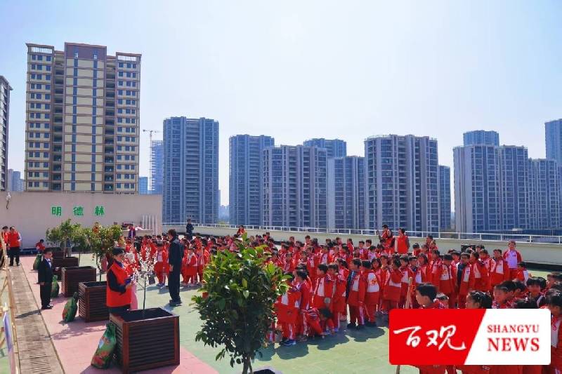 六年之约!上虞这所小学把“时间胶囊”埋进了“明德林” 六年之约!上虞这所小学把“时间胶囊”埋进了“明德林”
