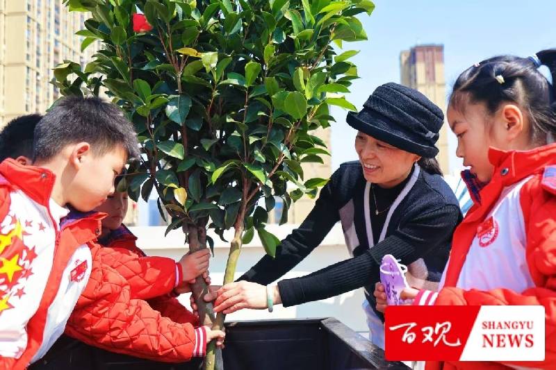 六年之约!上虞这所小学把“时间胶囊”埋进了“明德林” 六年之约!上虞这所小学把“时间胶囊”埋进了“明德林”