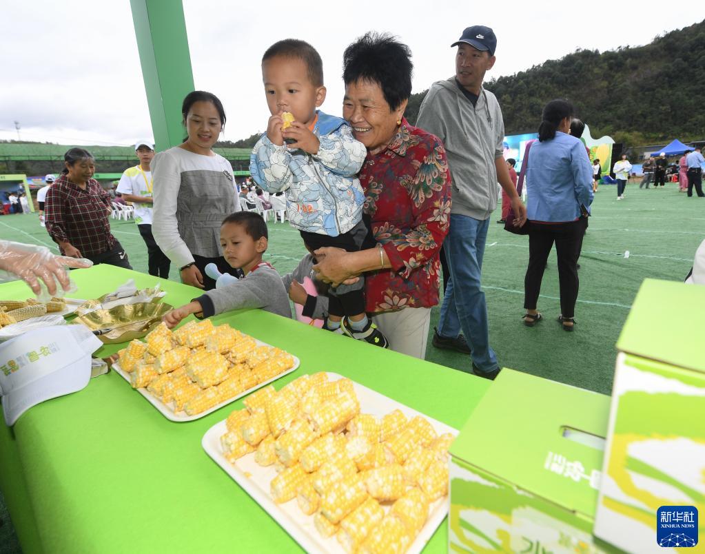 特色农旅产业助力乡村振兴