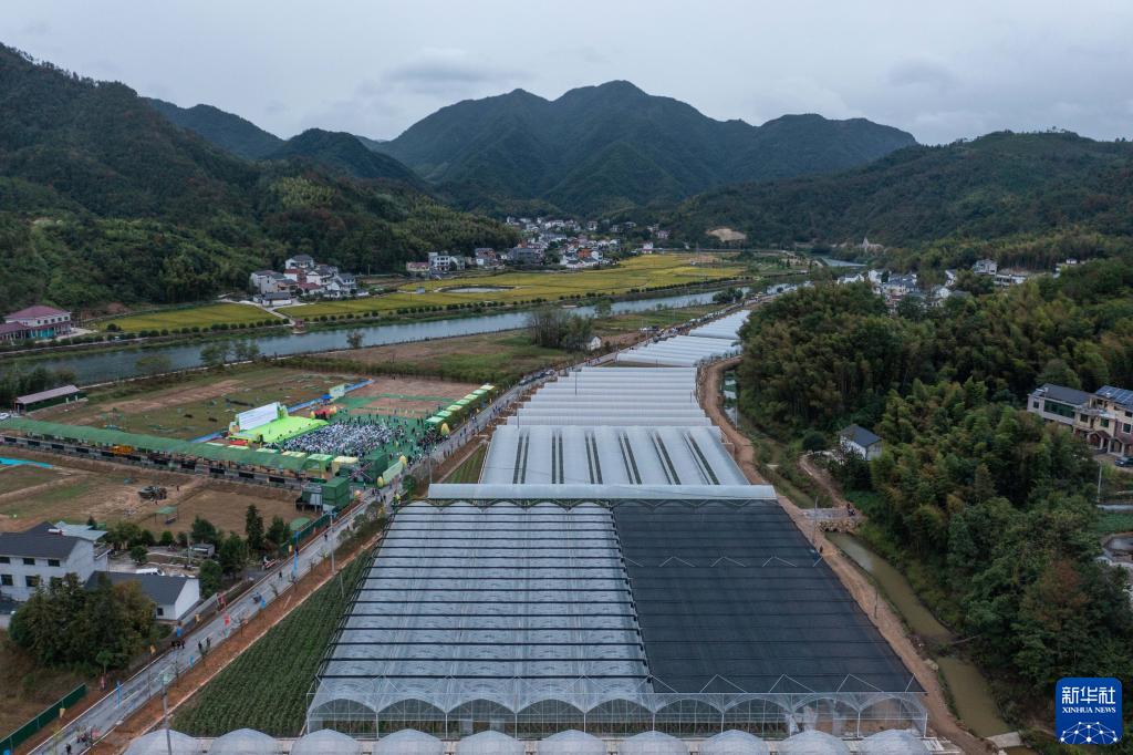 特色农旅产业助力乡村振兴