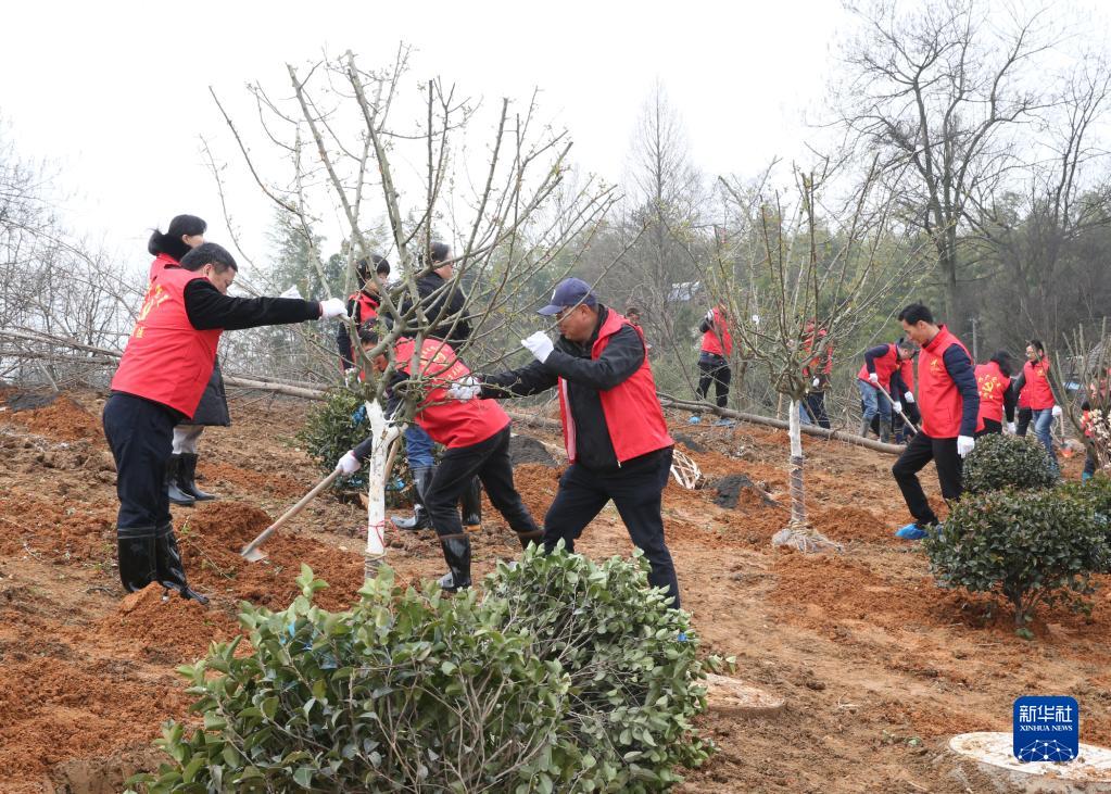 浙江安吉：山绿水清 景美民富