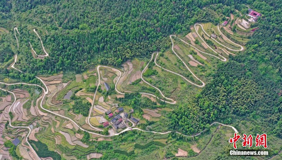 浙江仙居：山路弯弯致富路