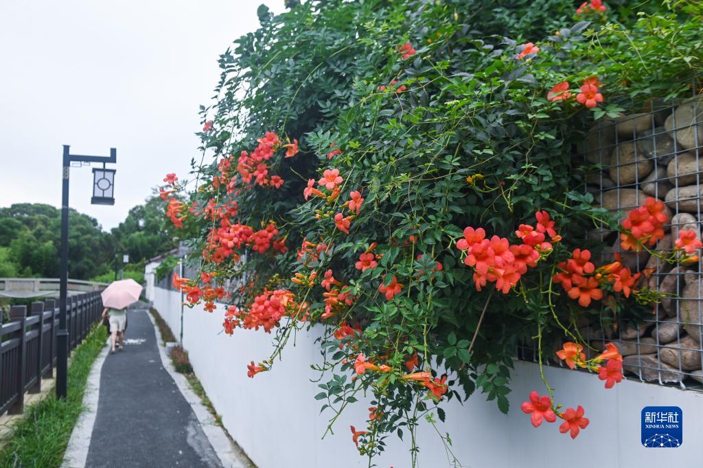 浙江嘉兴：美丽乡村推进生态环境建设