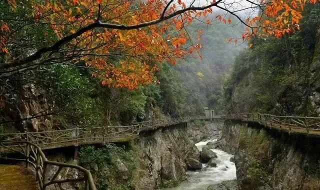 【泰顺氡泉小镇】这一泡，氡泉是养生的“新体验”
