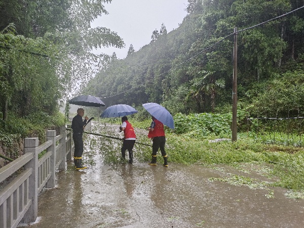 风雨中，浙江泰顺县党员先锋队一直在