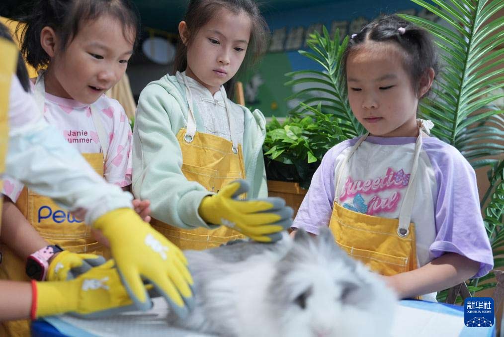 杭州：职业体验 乐享假期