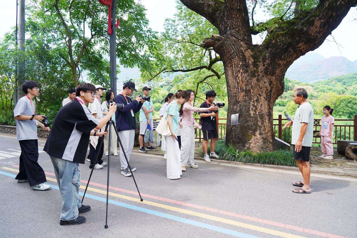 从古树里感受乡愁，浙农林大师生暑期守护古树名木历史文脉