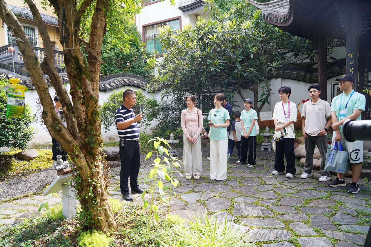 从古树里感受乡愁，浙农林大师生暑期守护古树名木历史文脉