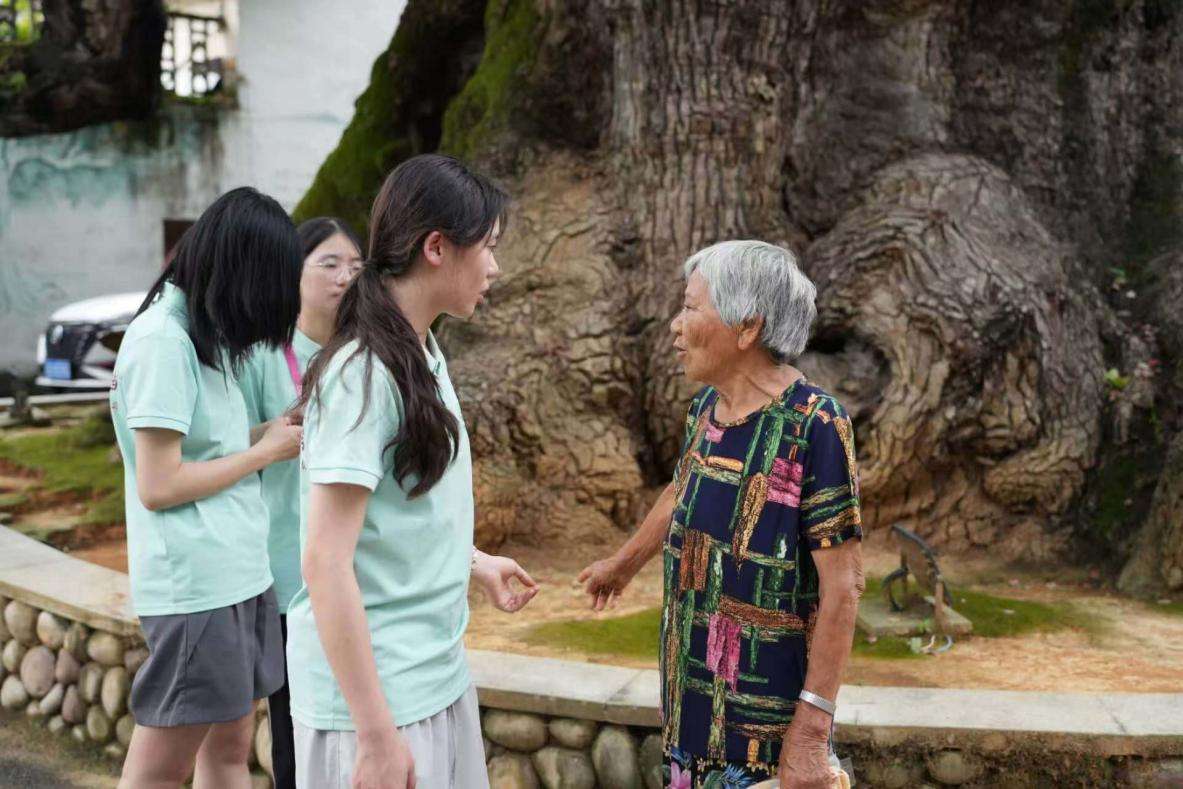 从古树里感受乡愁，浙农林大师生暑期守护古树名木历史文脉