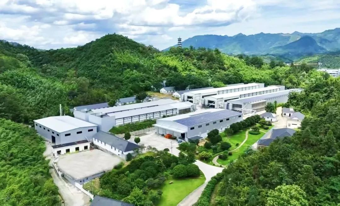 就在临安！这场青春与山水的双向奔赴，藏着N种可能