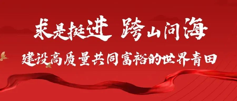 一百多名青田籍华侨华人受邀参加抗战胜利80周年纪念活动