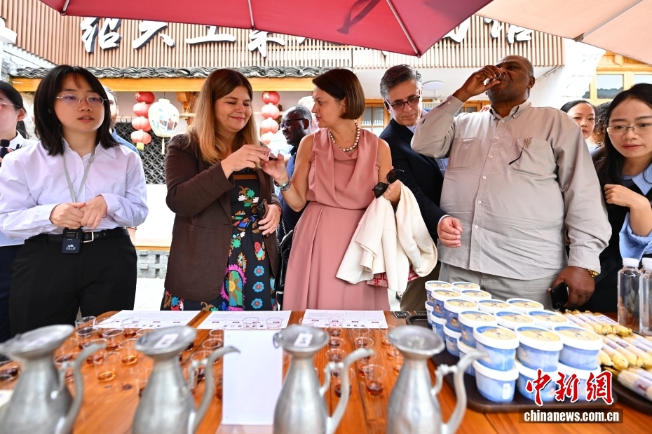 外交部“驻华使节地方行”活动走进浙江绍兴