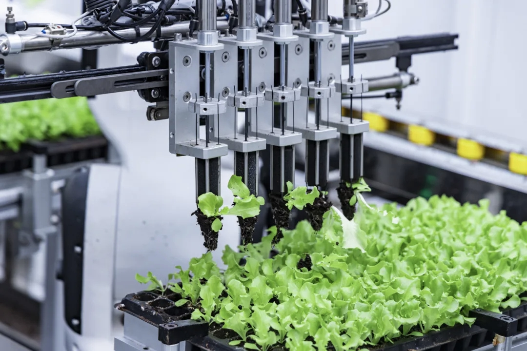 “玉”见平湖⑦丨跨省马拉松跑出长三角一体化新速度 “玉”见平湖⑦丨跨省马拉松跑出长三角一体化新速度