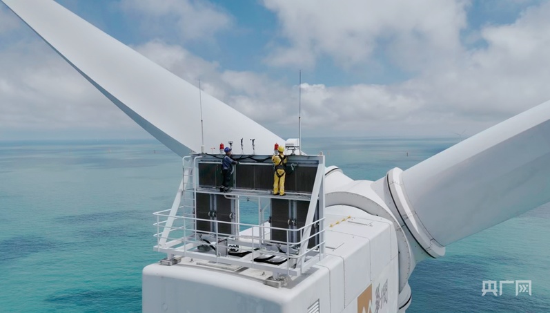 行进的海岸线|海上风电场“种出”绿色大森林 中国海上风电连续五年居全球首位