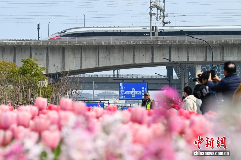 杭州“CBD花田”盛放 “开往春天的列车”吸引民众 杭州“CBD花田”盛放 “开往春天的列车”吸引民众