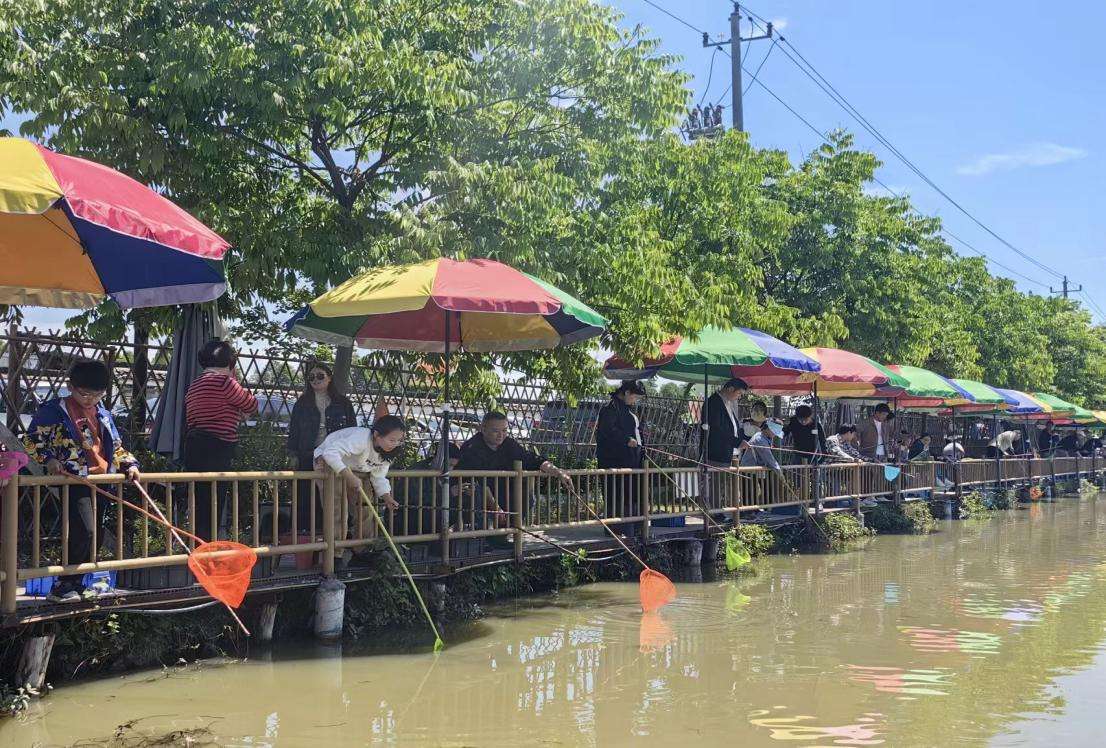 以“虾”为媒，浙江临平运河街道串起乡村共富链