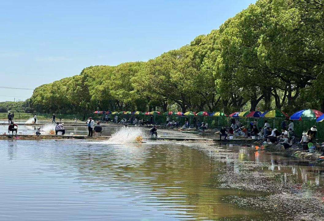 以“虾”为媒，浙江临平运河街道串起乡村共富链