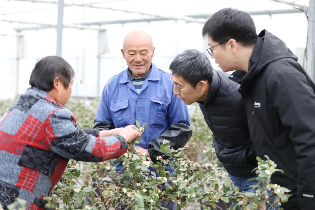 深耕科创沃土!党建赋能校地融合共富新图景