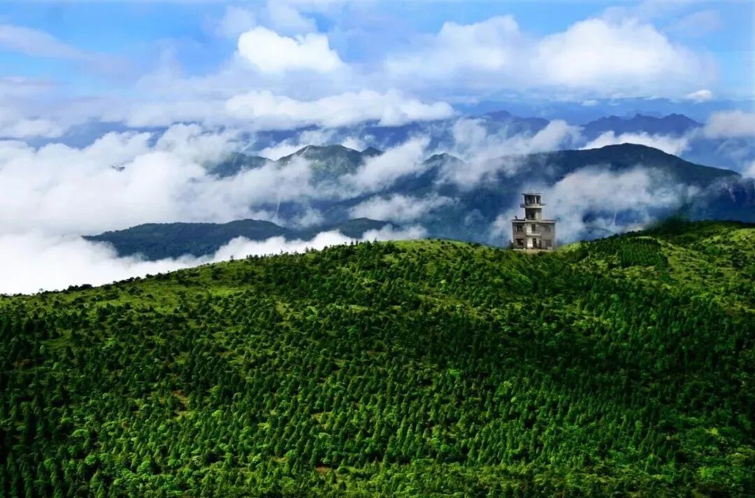 “山”字系的故事——丽水如何把绿水青山变成品牌资产? a80639ac-2525-4f1a-82c2-638b5e05b648.jpg