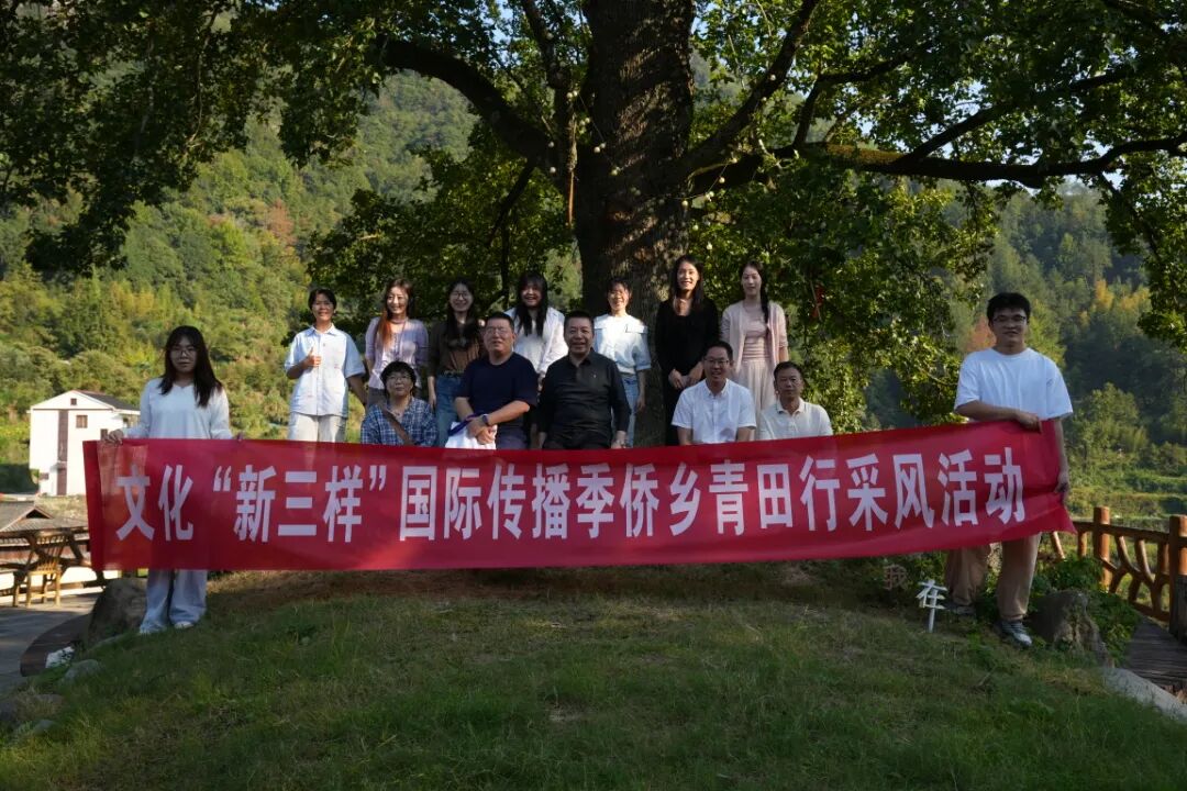 文化“新三样”国际传播季采风活动走进青田 DSC09111.JPG