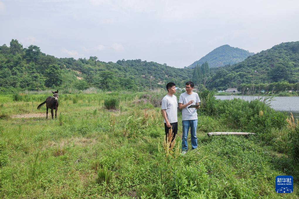 浙江慈溪：乡村规划师助力美丽乡村建设