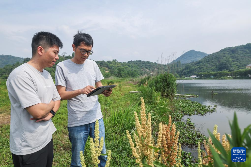 浙江慈溪：乡村规划师助力美丽乡村建设