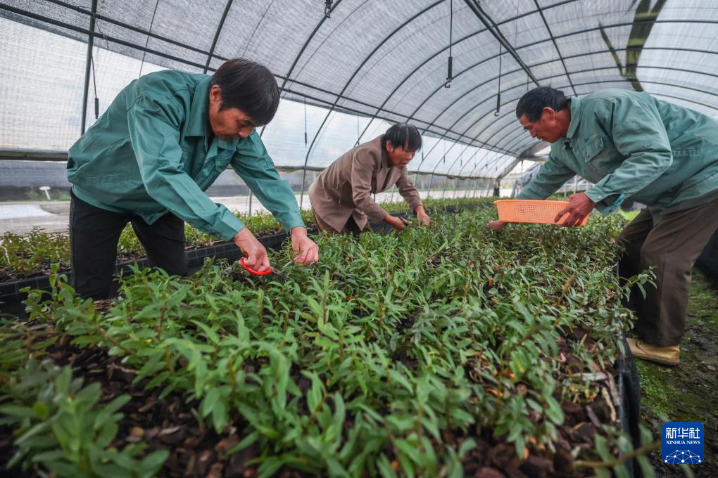 国道之行 海阔天空｜浙江余姚：把定向招工式共富工坊开进田间车间