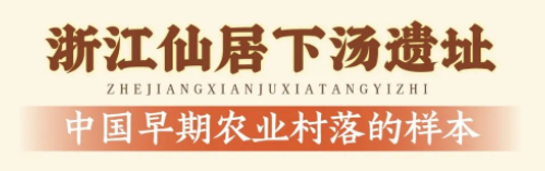 仙居下汤遗址，2024年度全国十大考古新发现！