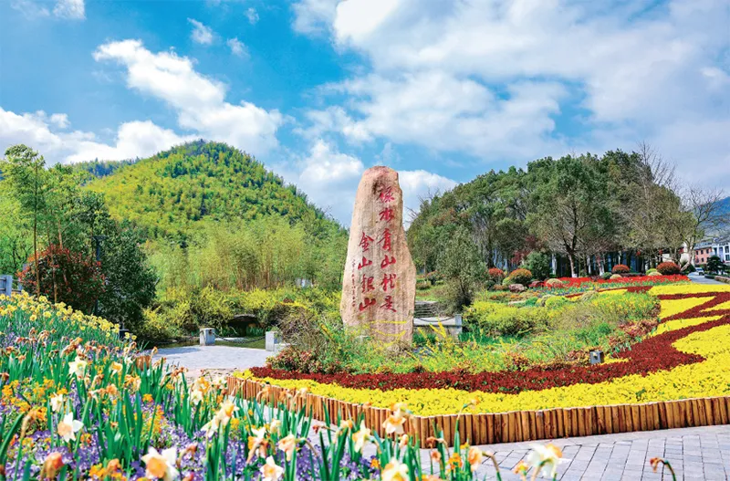 深度调研 | 余村调查 图片