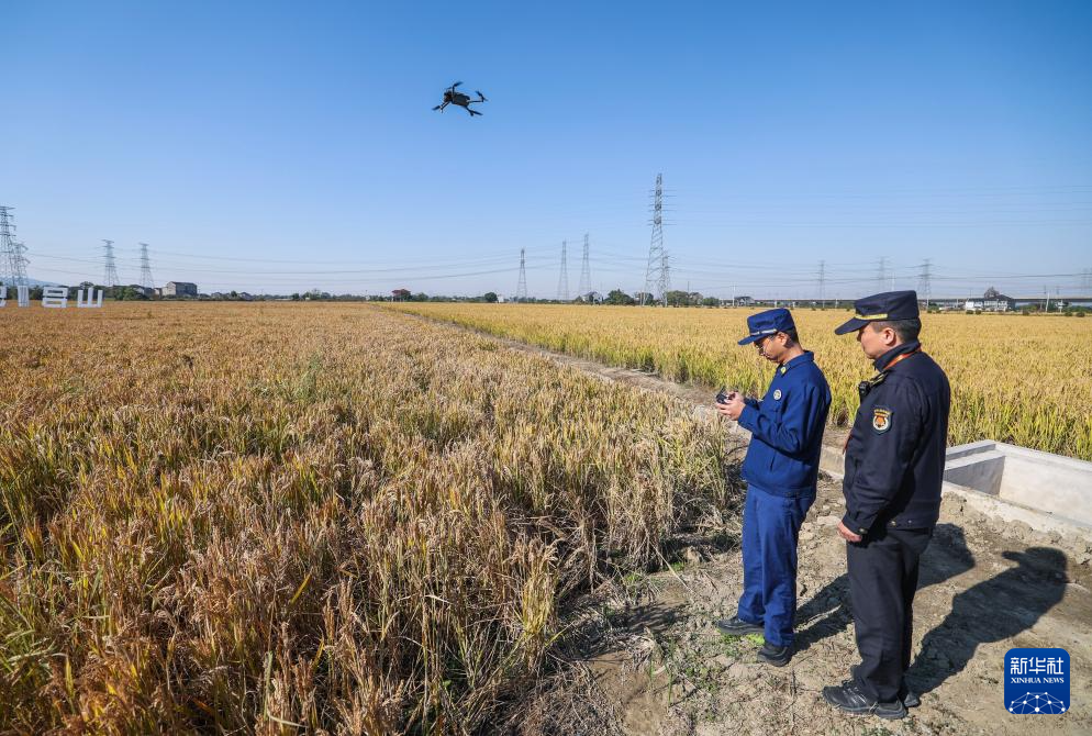 浙江长兴:推进和美乡村建设