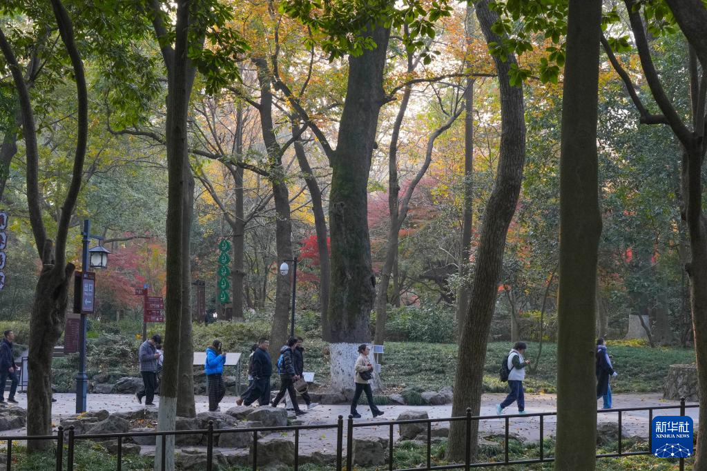 杭州：灵隐飞来峰景区免费开放