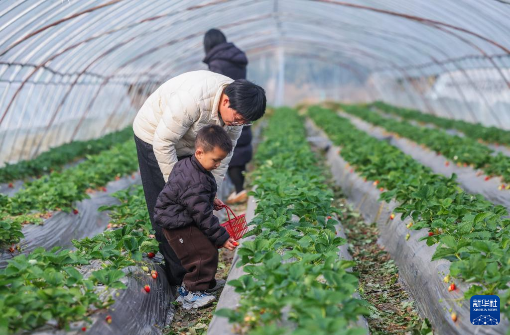 浙江长兴:发展特色农业助力乡村振兴