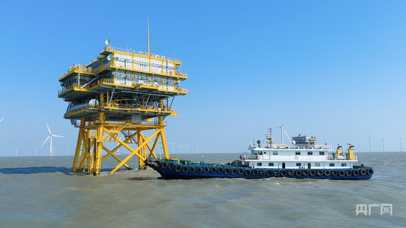 行进的海岸线|海上风电场“种出”绿色大森林 中国海上风电连续五年居全球首位