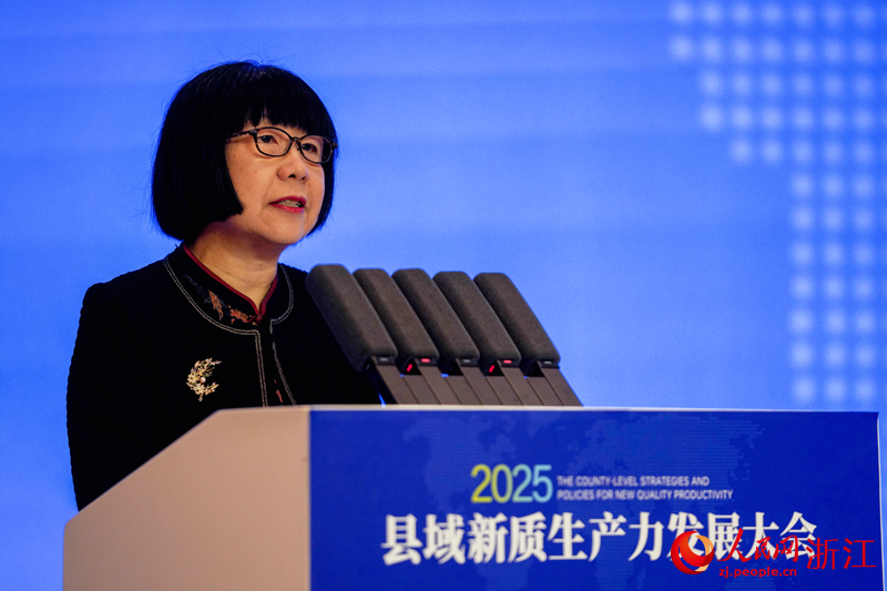 2025县域新质生产力发展大会在浙江苍南举行