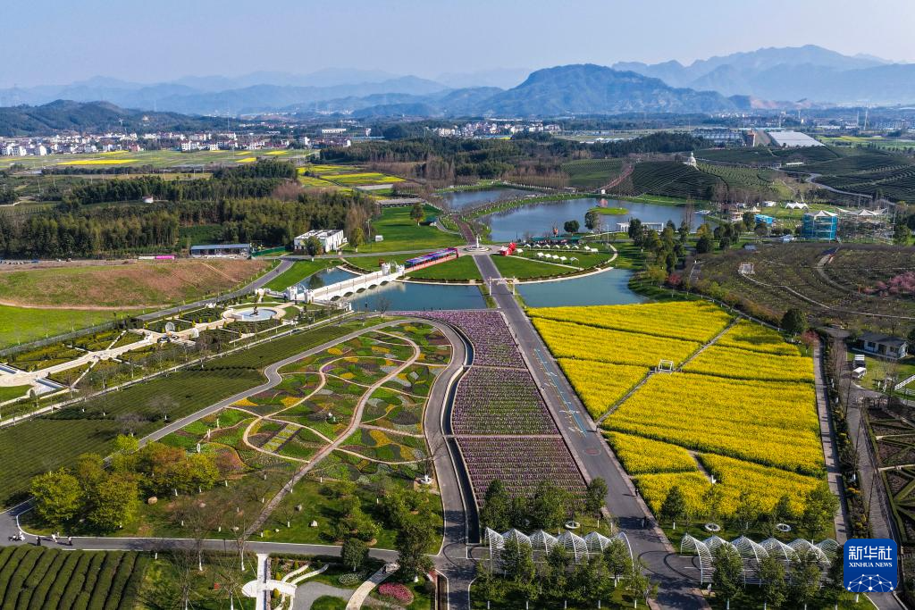 春日花田百花争艳