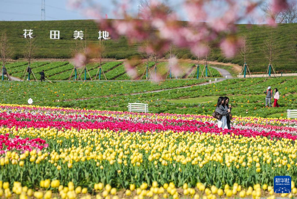 春日花田百花争艳
