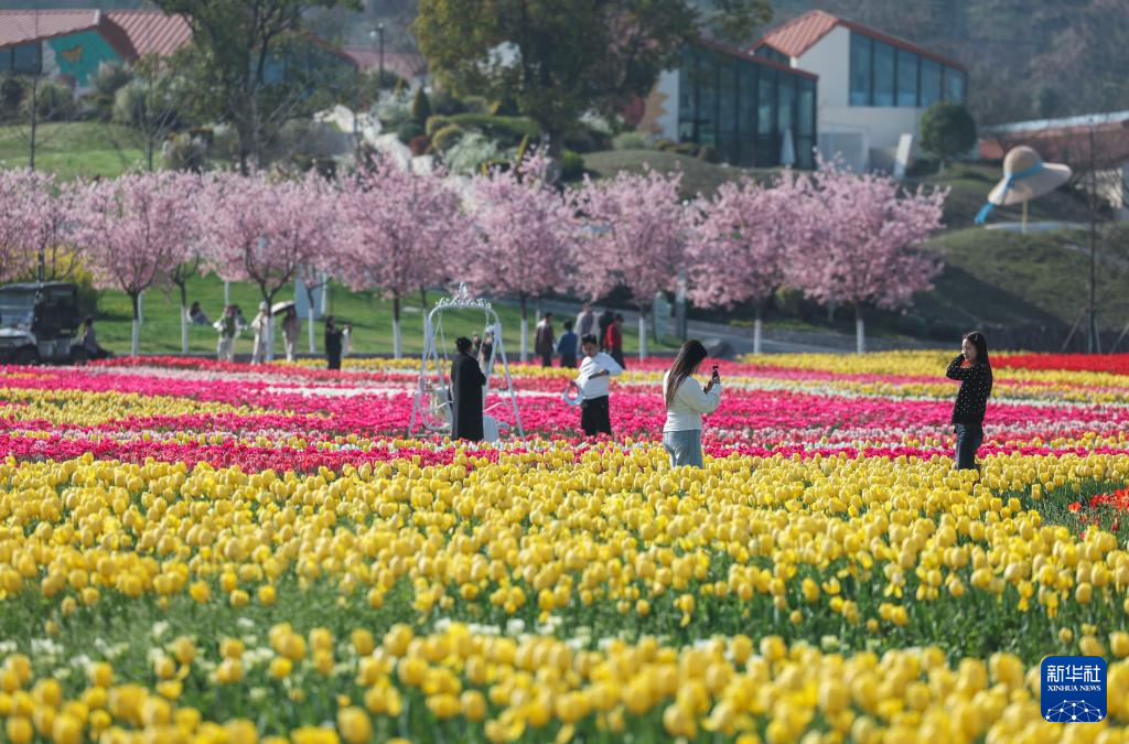 春日花田百花争艳