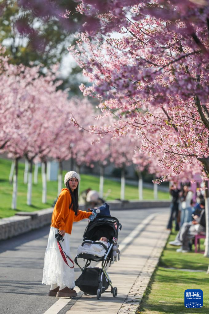 春日花田百花争艳