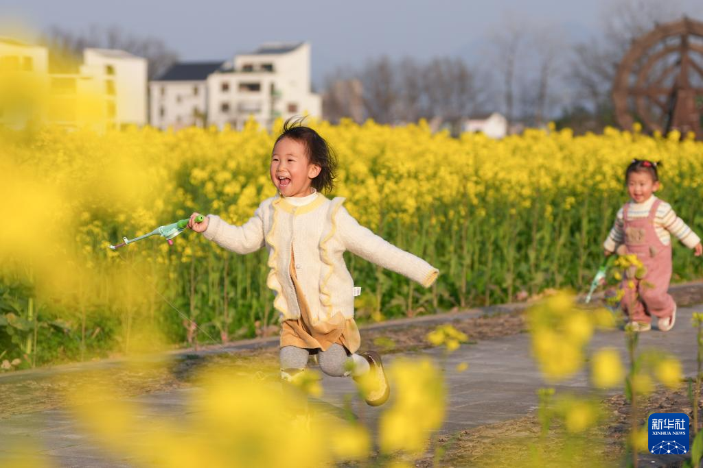 浙江桐庐:春拂江村 油菜花开