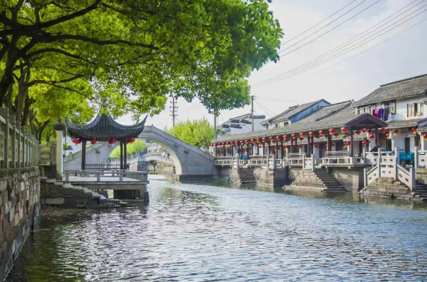 秀洲！首夺金鼎！蝉联全省优秀