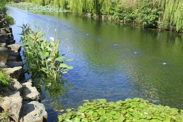 秀洲！首夺金鼎！蝉联全省优秀