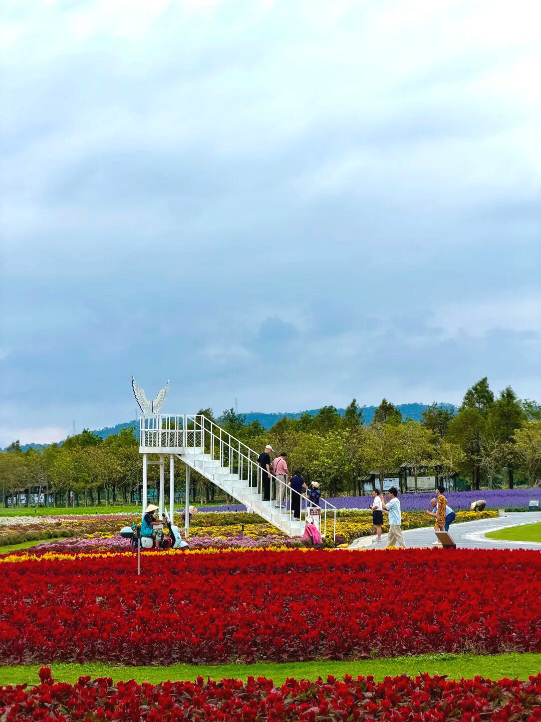 国庆长假,“海屿岛”游火热
